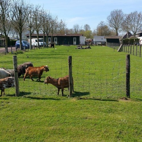 hollandse boerderij2.cr